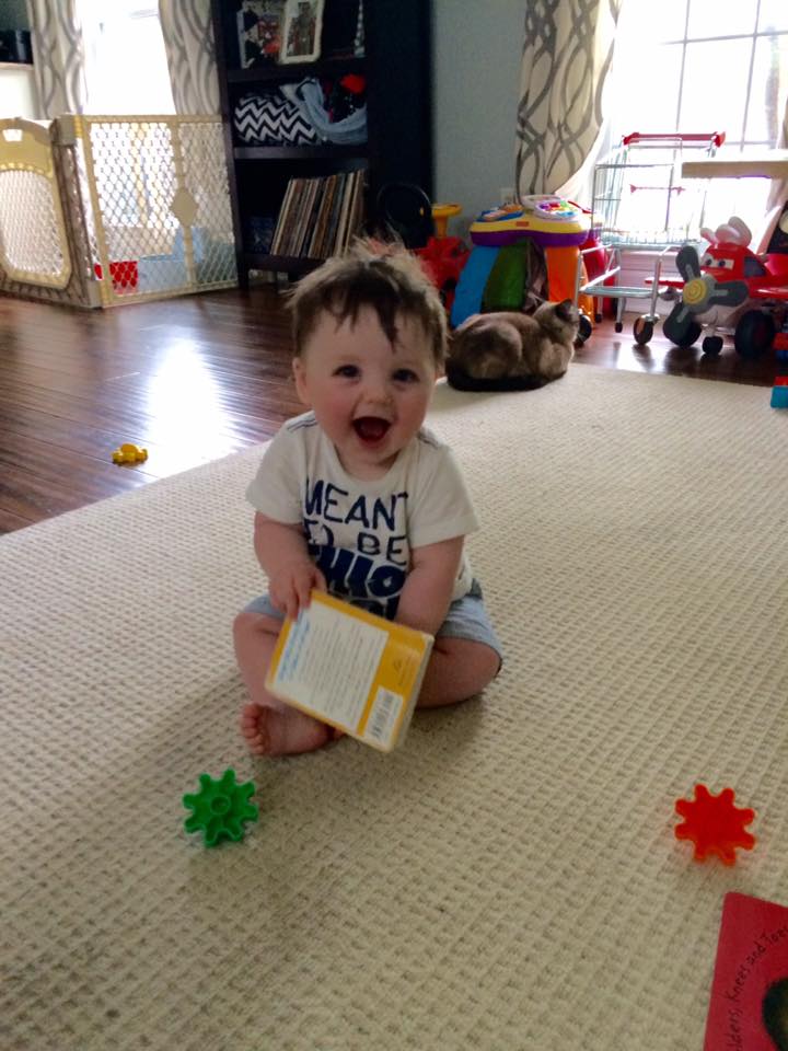 13043468_568116750017710_5319498815916809015_n